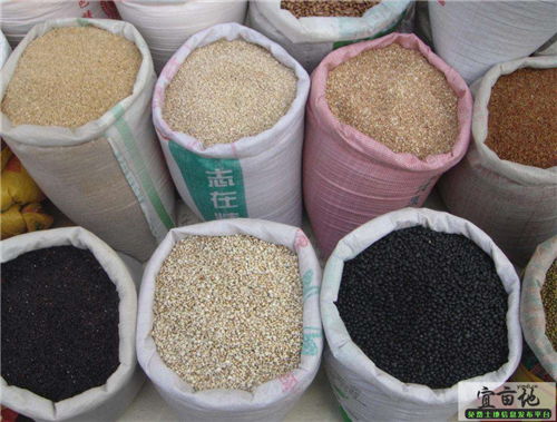 2018年秋糧收購政策變化及價格趨勢解析