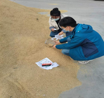 銀川市西夏區(qū)人民政府初級農產品收購政策與實踐