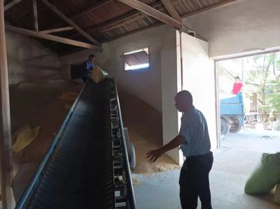 上杭南陽(yáng)鎮(zhèn) 多措并舉抓好糧食收購(gòu)，筑牢農(nóng)民“放心售糧”與“有序收糧”雙保障