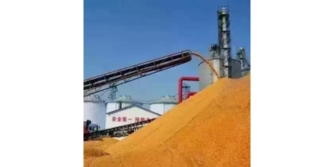 大型糧食收購(gòu)公司初級(jí)農(nóng)產(chǎn)品收購(gòu)策略與實(shí)踐