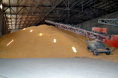 筑牢基石 四平糧食收購(gòu)點(diǎn)在初級(jí)農(nóng)產(chǎn)品收購(gòu)中的角色與實(shí)踐