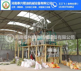 松原玉米加工產業發展探析 廠家、設備與收購全鏈條解析