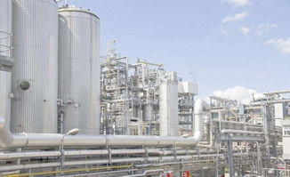 江蘇正丁醇生產企業探索初級農產品收購新路徑，助力綠色產業鏈發展